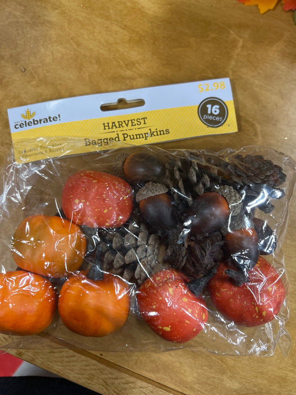 HARVEST BAGGED PUMPKINS