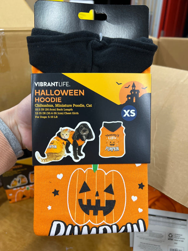 HALLOWEEN HOODIE4