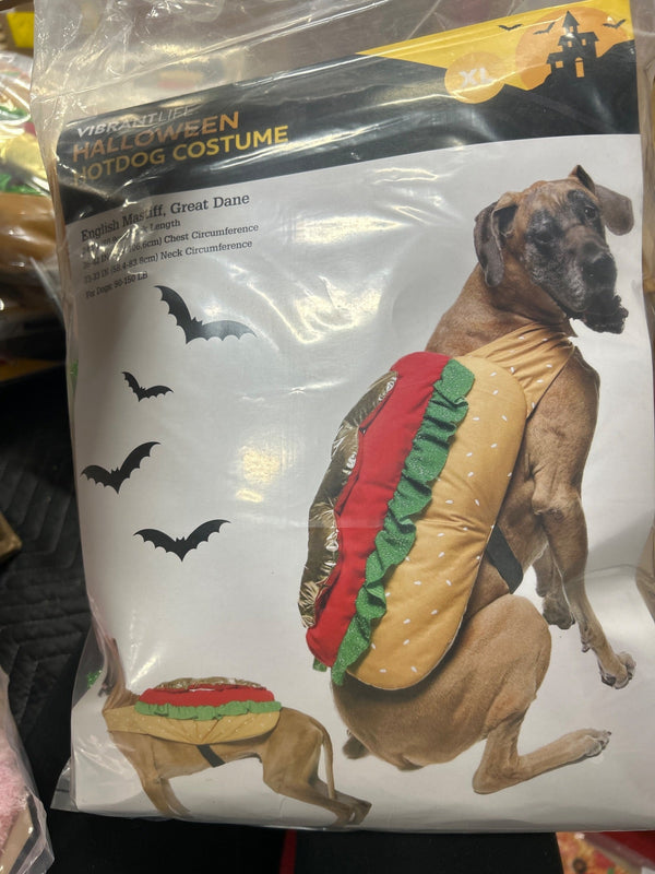 HOTDOG COSTUME4