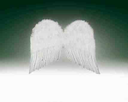FEATHER WINGS 20" WHITE