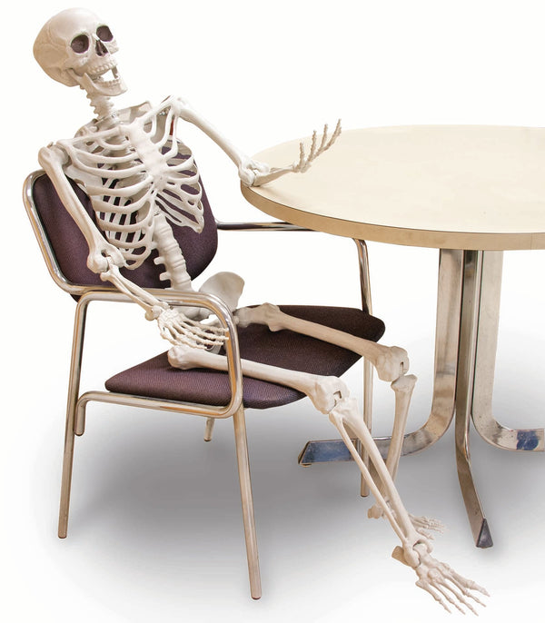 POSABLE SKELETON - 60 INCH