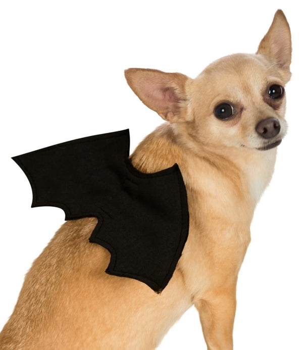 Pet Bat Wings